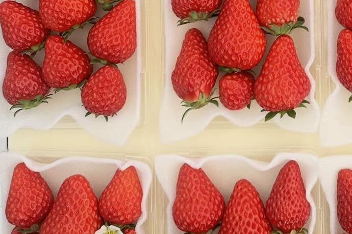 「いちごびより」のイチゴに添えられているのは……？