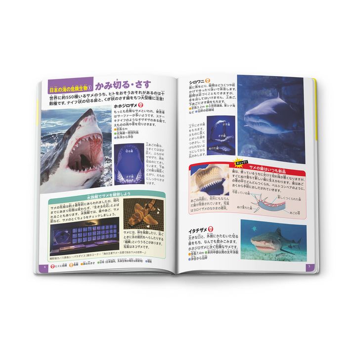 ミニ図鑑「小学館の図鑑 NEO 危険生物」03