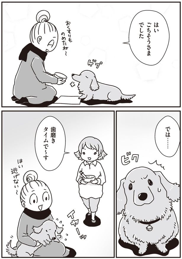 歯磨きタイムで～す