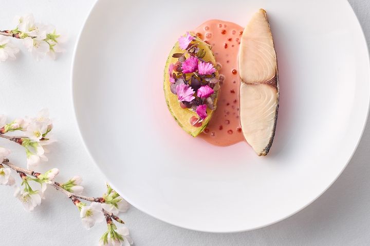 「鰆の炙り蒸し フヌイユと林檎 桜香るシャンパンソース」