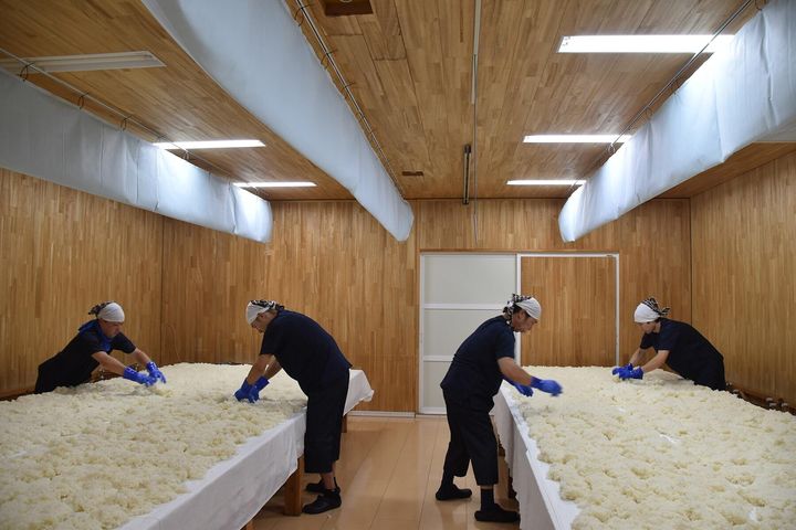麹室で、麹造りの作業をするスタッフ