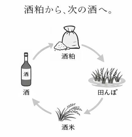 酒粕が再び酒になる“循環型酒づくり”から誕生した日本酒「廻」発売！酒蔵と農家の挑戦