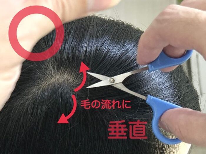 「白髪」はブチッと抜いちゃダメーー！！後悔することになりますよ…。意外と知らない正しい対処方法は？