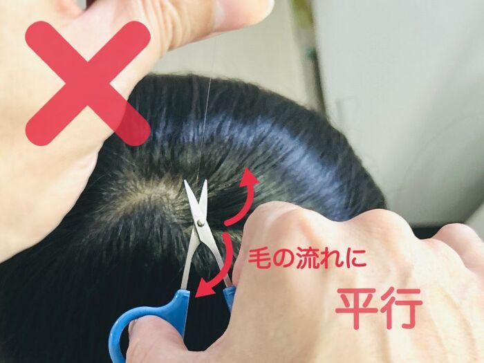 「白髪」はブチッと抜いちゃダメーー！！後悔することになりますよ…。意外と知らない正しい対処方法は？