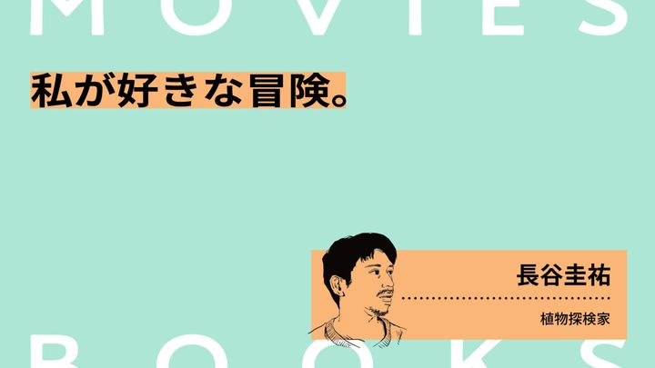 石橋瞭 イラスト