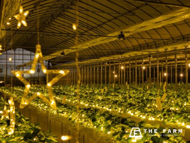 夜空をイメージしたイルミネーション