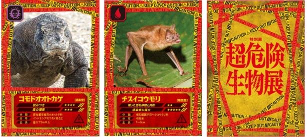 エリアB 「特殊攻撃系危険生物」物理的な攻撃にとどまらない、人間にはまねできない特殊な能力を持つ生物たち