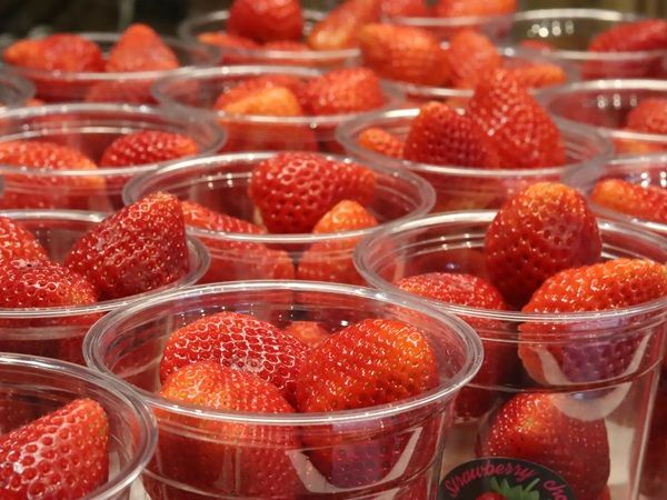 【兵庫県神戸市】Strawberry chocoの人気商品「ダークチョコ」が代官山Candyapple神戸マルイ店に登場