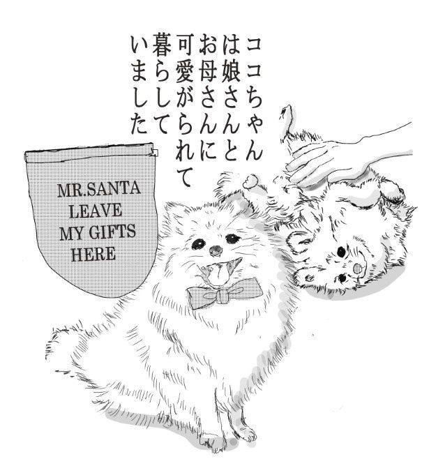 愛情いっぱいに育てられ、家族の一員だった 送達ねこ(@jinjanosandou)