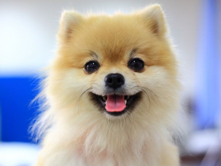 「かわいい」は女性にとって本当に褒め言葉なのだろうか。かわいくなりたいと思う人、「女はかわいくなくてはいけない」という価値観をもつ人はいる。武器になることもあるだろう。だが、そこに違和感を持ち続けている人もいるのだ。※サムネイル画像：PIXTA