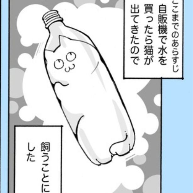 名称未設定の水のペットボトルに入っていたのは文字通りの「液体猫」!?自販機から出てきた猫との日々が愛おしいデザイン 作：林場琉賀