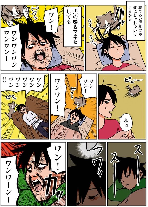 ワン！ワンワーン！ （C）鴻池剛／KADOKAWA