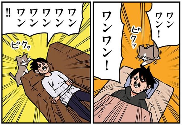 ワンワン！ （C）鴻池剛／KADOKAWA