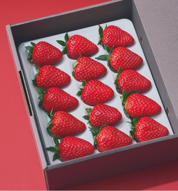 「EDITION2026 THREEBERRY」(1万1800円)