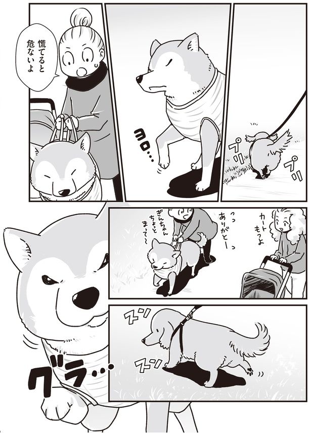 慌てると危ないよ (C)真希 ナルセ／KADOKAWA