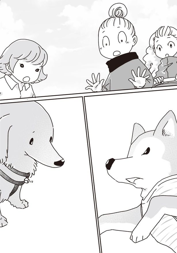 若い頃のように (C)真希 ナルセ／KADOKAWA