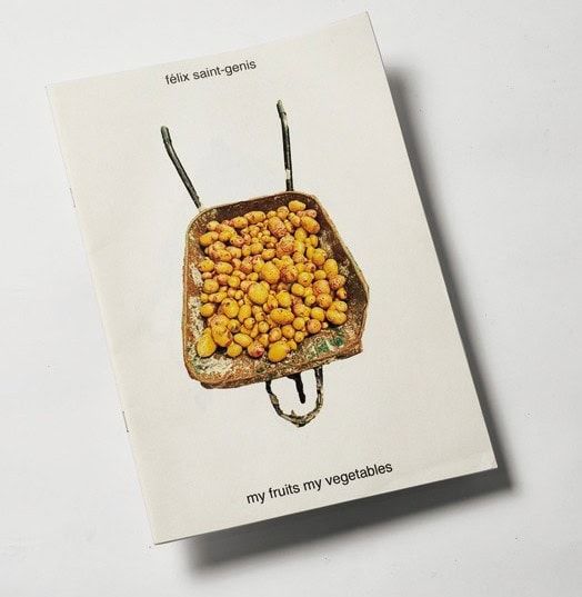 中三青果店 3代目・KAITOのベストバイ félix saint-genisのmy fruits my vegetables