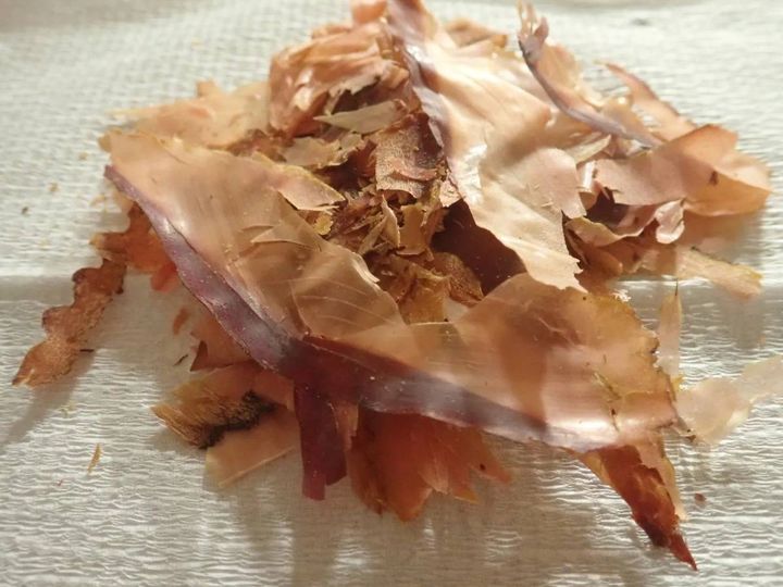 DAISO(ダイソー)：食べる鰹節