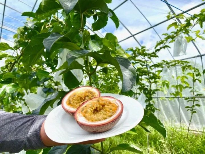 県内農家を訪問