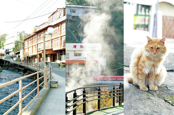 【2026年春～Spring～ イヴルルド遙華の12星座占い】運気を味方につけるヒントがいっぱい♪「自分史上最高の季節」へ、アップデート