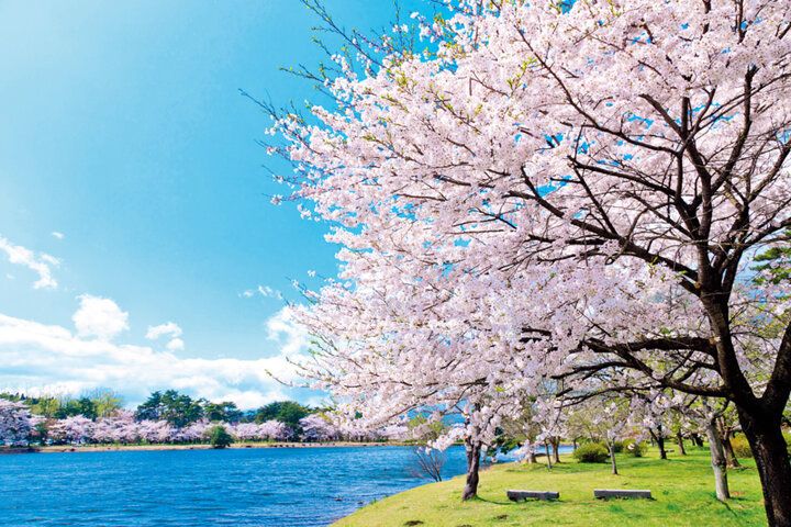 【2026年春～Spring～ イヴルルド遙華の12星座占い】運気を味方につけるヒントがいっぱい♪「自分史上最高の季節」へ、アップデート