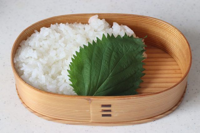 2品弁当の詰め方