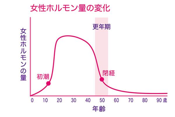 更年期とは、閉経によるダイナミックな体の変化 