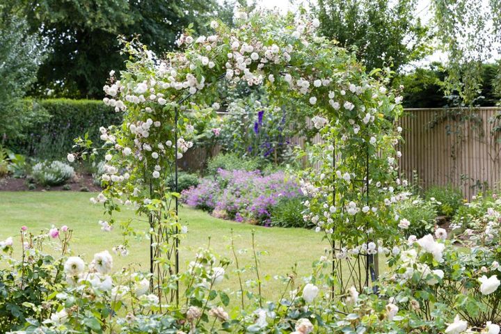 イギリスの一般家庭の庭です。中央に芝生を敷き、小輪のつるバラのアーチを設け、足元にもコンパクトシュラブのバラを。バラは白系で統一し、宿根草のブルーでほんの少し色を添えています。