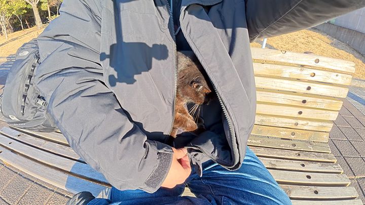 服に潜り込む猫