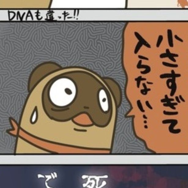 袴田事件について 画像提供：弁護士のたぬじろう