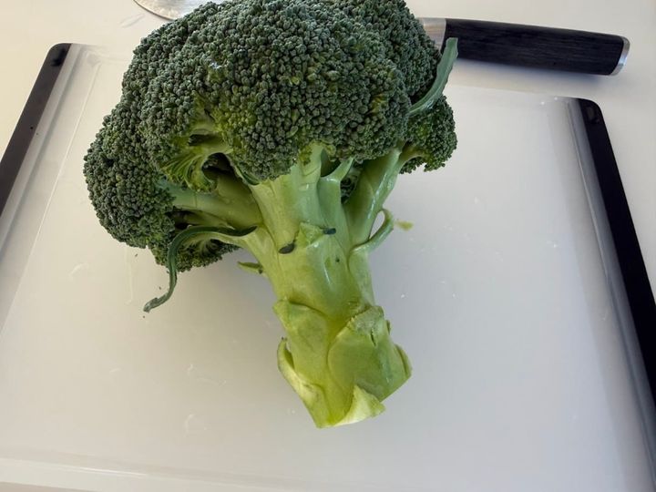 枝分かれしている部分