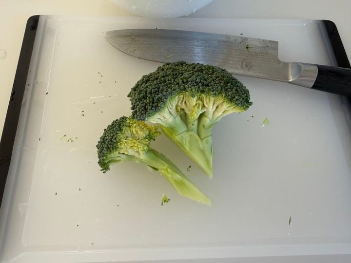 枝分かれの部分をよく見る