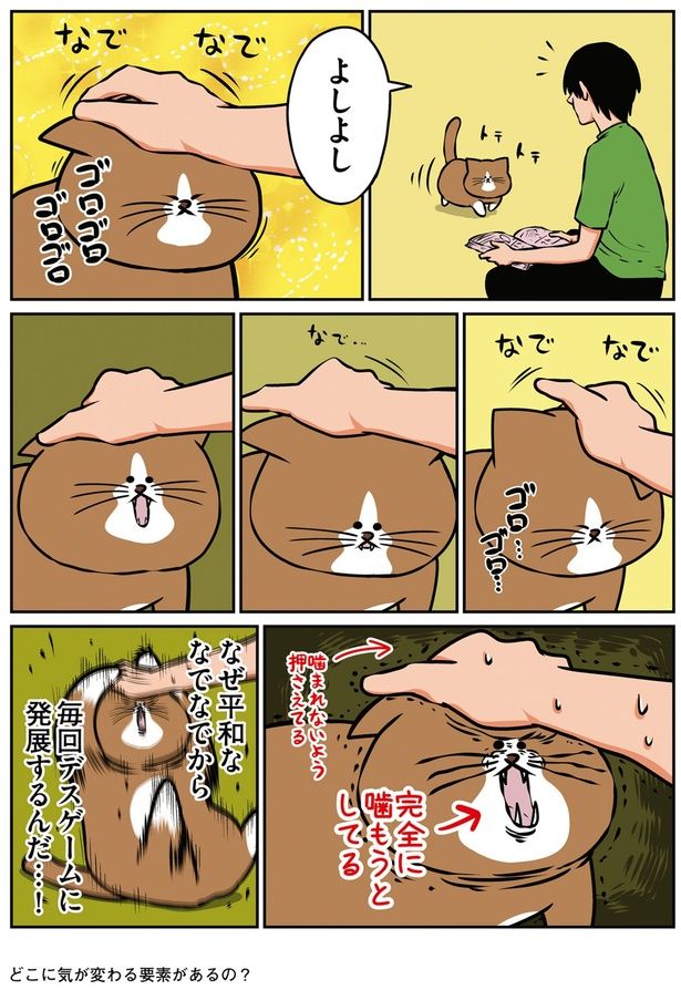 なぜ平和ななでなでから毎回デスゲームに発展するんだ…！ （C）鴻池剛／KADOKAWA