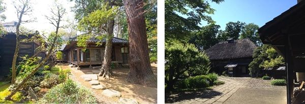 【千葉県柏市】「旧吉田家住宅歴史公園 SakuraWeek」開催！ライトアップなどイベント盛りだくさん