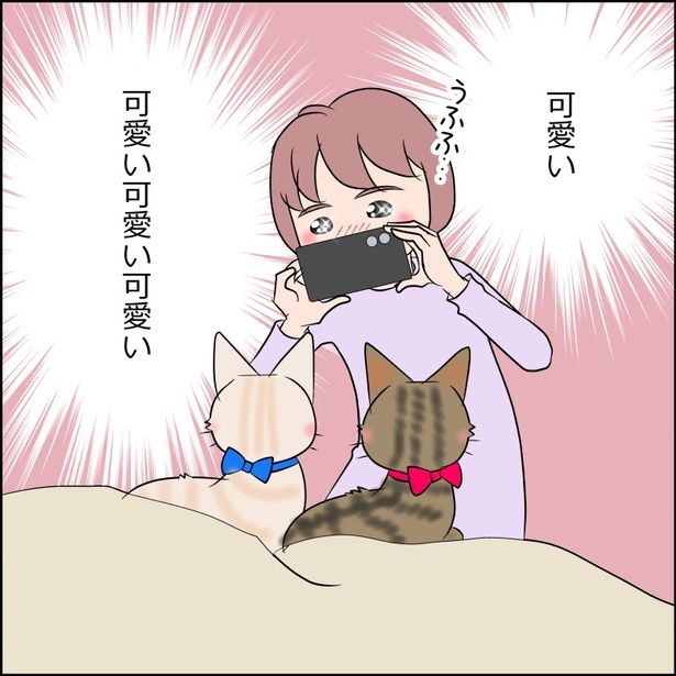 猫たちのかわいい姿をスマホで撮影する飼い主 画像提供：暁龍さん