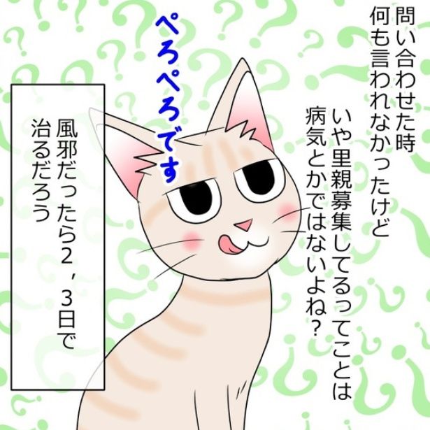 猫が来た日 画像提供：暁龍さん