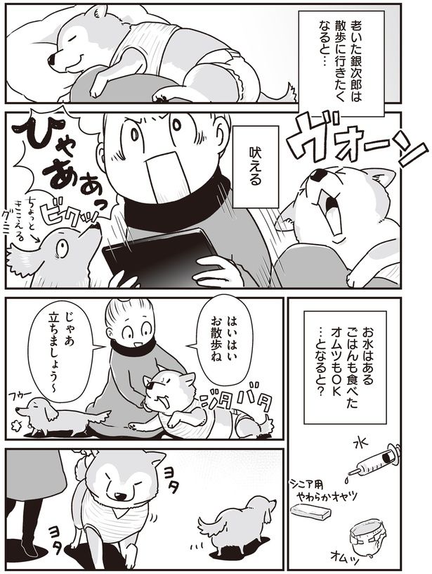 はいはいお散歩ね (C)真希 ナルセ／KADOKAWA