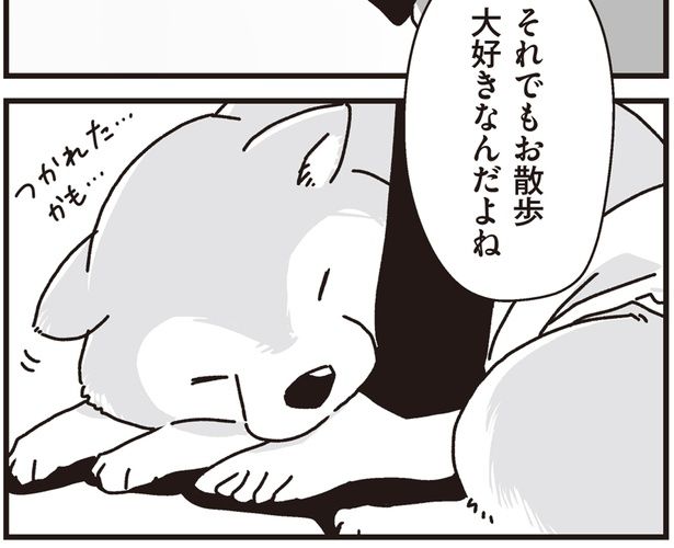 お散歩大好きなんだよね (C)真希 ナルセ／KADOKAWA