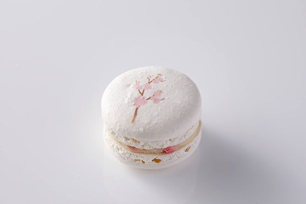 「酒粕マカロン」