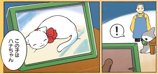 この子はハナちゃん （C）ペンギンボックス／KADOKAWA