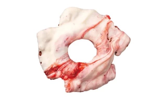 ジャックインザドーナツ 濃厚いちごミルクチョコファッション