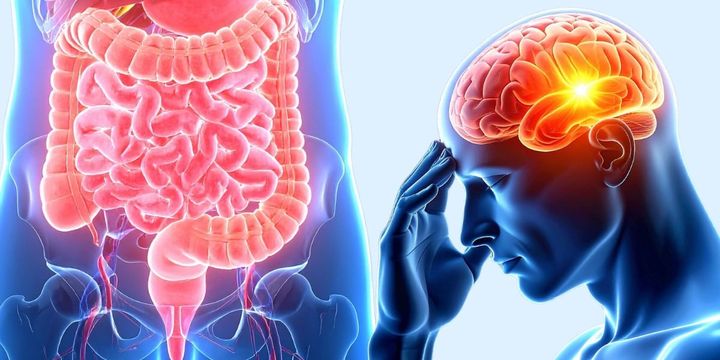 物忘れの原因は「お腹」かもしれない