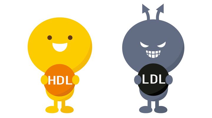 コレステロール