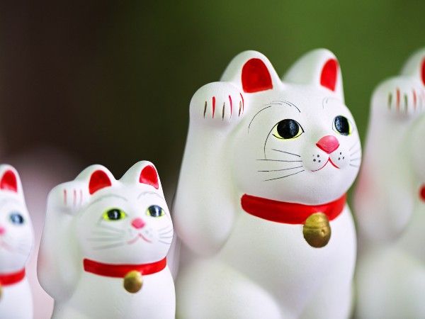 招き猫の由来