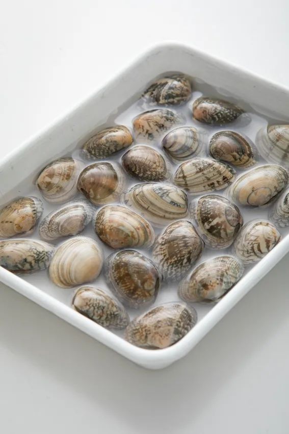 あさりをバットに入れ、砂出しをする