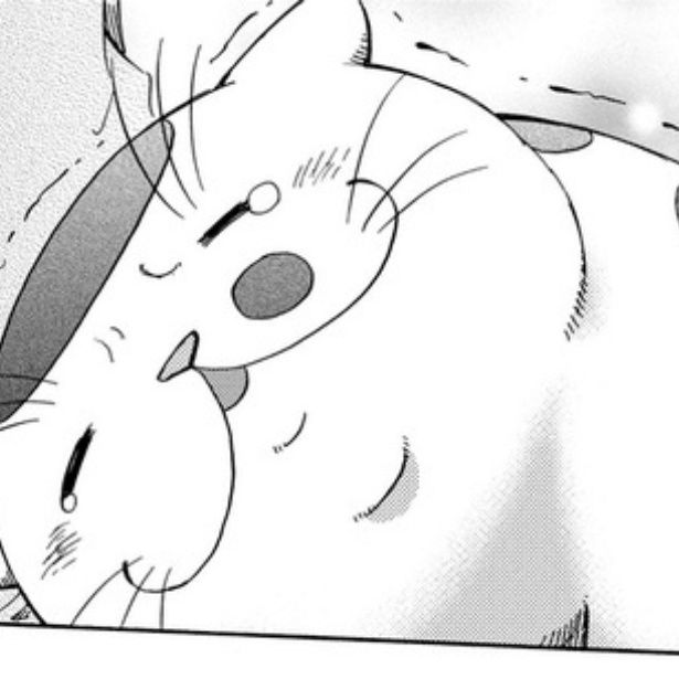  日に日に値段を下げても「ブッサイク」と見向きもされない成猫の前に現れたのは？ 画像提供：(C)Umi Sakurai/SQUARE ENIX