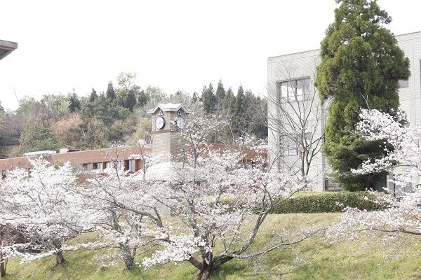 【奈良県三郷町】「さかい珈琲 奈良三郷店」オープン！子育て世代のお迎え帰りや花見散策の寄り道に