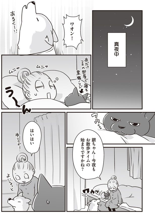 お散歩タイムの始まりですかね？ (C)真希 ナルセ／KADOKAWA