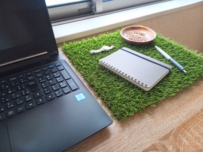 ポストに『人工芝』を敷くだけで…！？意外すぎるけど超便利。知らなきゃ損な【100均】ライフハック