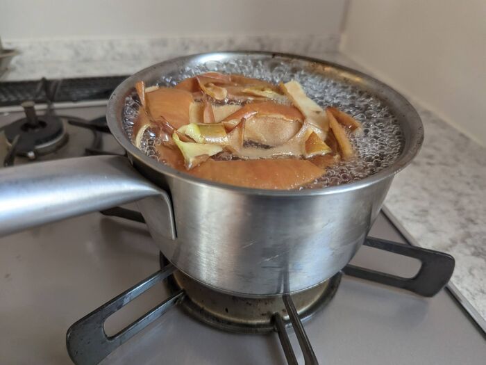 この手があったか！リンゴの皮はすぐ冷凍or乾燥が正解♪家事にメチャ使える便利アイテムに